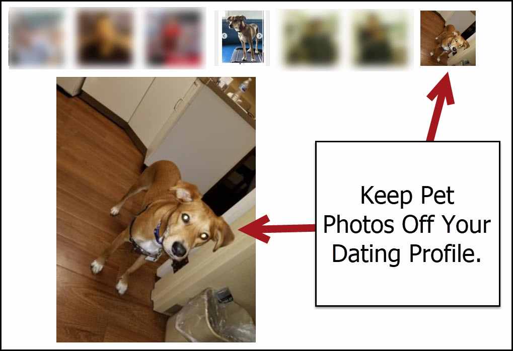 Why using photos of your dog on your profile is bad - Ninja Online Dating